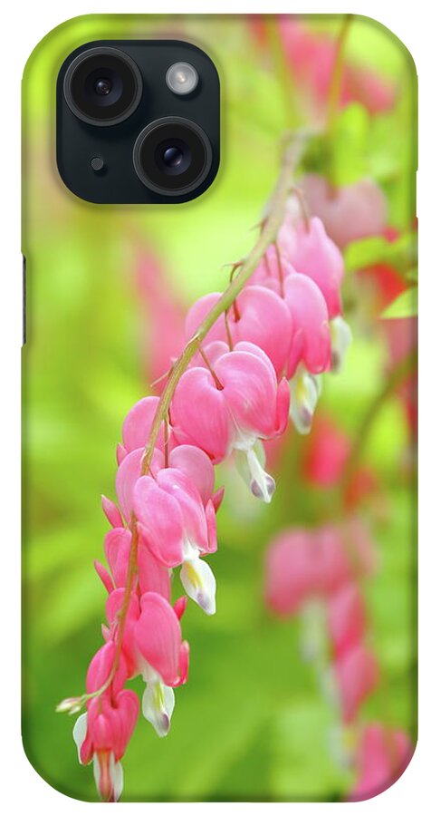 Plant iPhone Case featuring the photograph Oh My Bleeding Heart by Lens Art Photography By Larry Trager