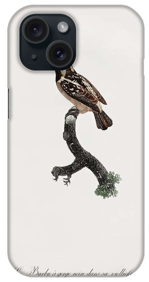 Jacques Barraband iPhone Case featuring the digital art Old Bearded Tachuri -  Vintage Bird Illustration - Birds Of Paradise - Jacques Barraband by Studio Grafiikka