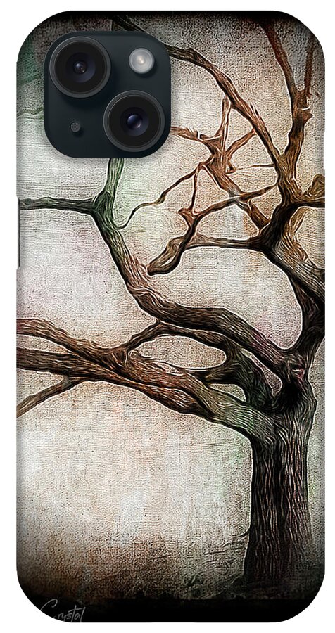 Trees iPhone Case featuring the photograph Old Craggy Dreams Of Spring by Rene Crystal