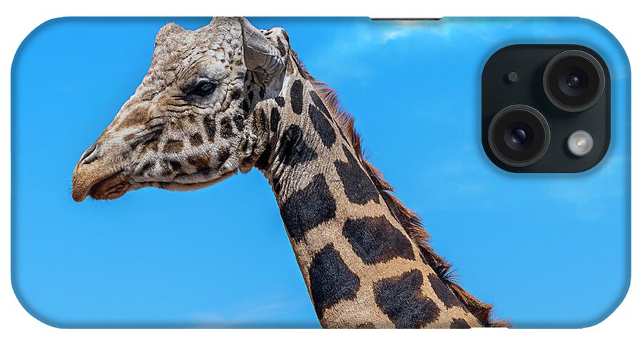  iPhone Case featuring the photograph Old Giraffe by Al Judge