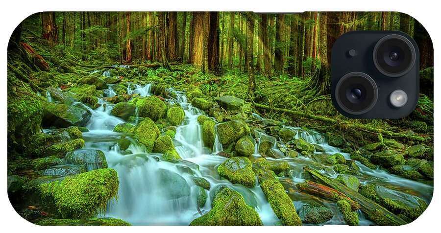 Sol Duc iPhone Case featuring the photograph Olympic Rainforest by Dan Mihai