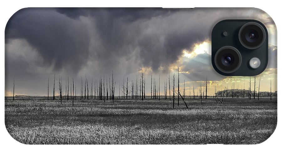Cedar Tree iPhone Case featuring the photograph Ominous Sky by Louis Dallara