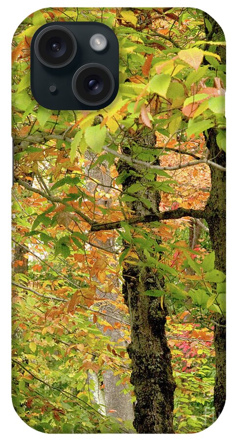 Nature iPhone Case featuring the photograph On An Overcast Day In Autumn 17 by Dorothy Lee