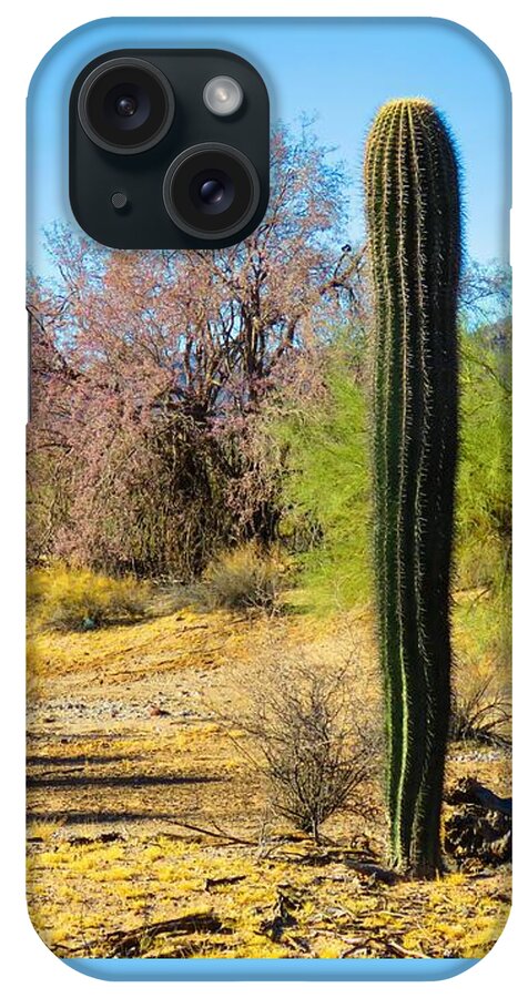 Arizona iPhone Case featuring the photograph On the Ironwood Trail by Judy Kennedy
