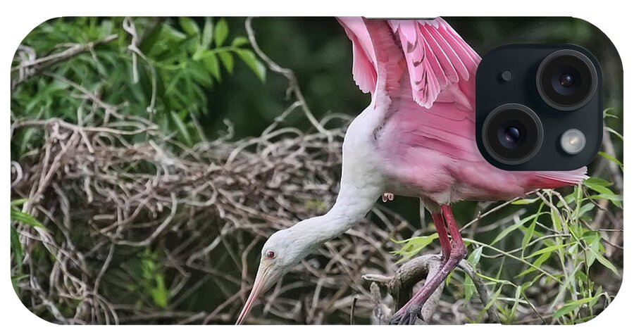 Roseate Spoonbill iPhone Case featuring the photograph On the Tightrope by Jayne Carney