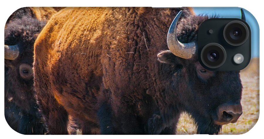 Agriculture iPhone 15 Case featuring the photograph Bison in Field in the Daytime by Tom Potter