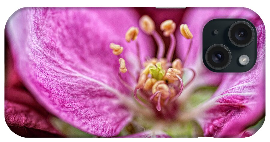Pink iPhone Case featuring the photograph One Opened Blossom by Pamela Dunn-Parrish