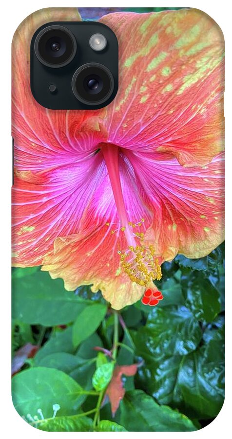 Flower iPhone Case featuring the photograph Orange And Pink Hibiscus by Jeff Iverson