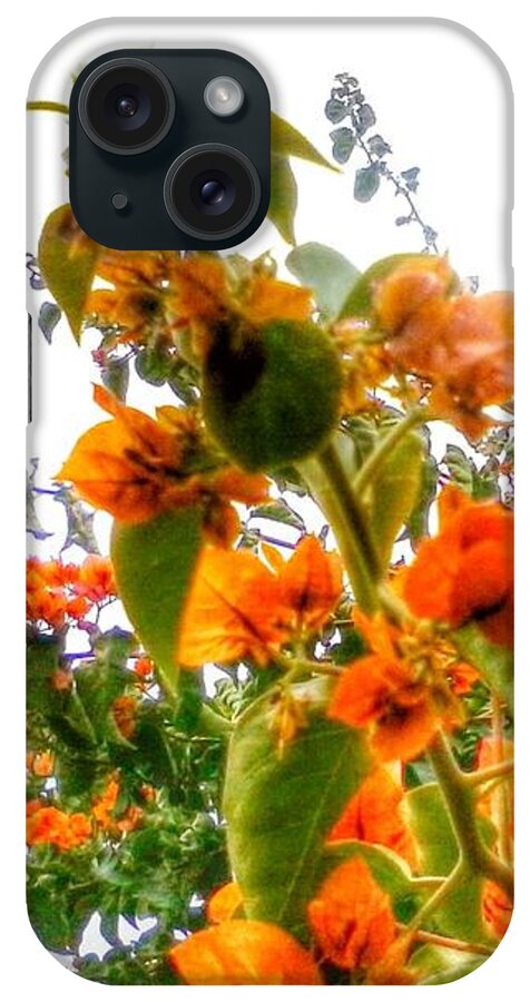 Wall Art iPhone Case featuring the photograph Orange Blossom by Callie E Austin