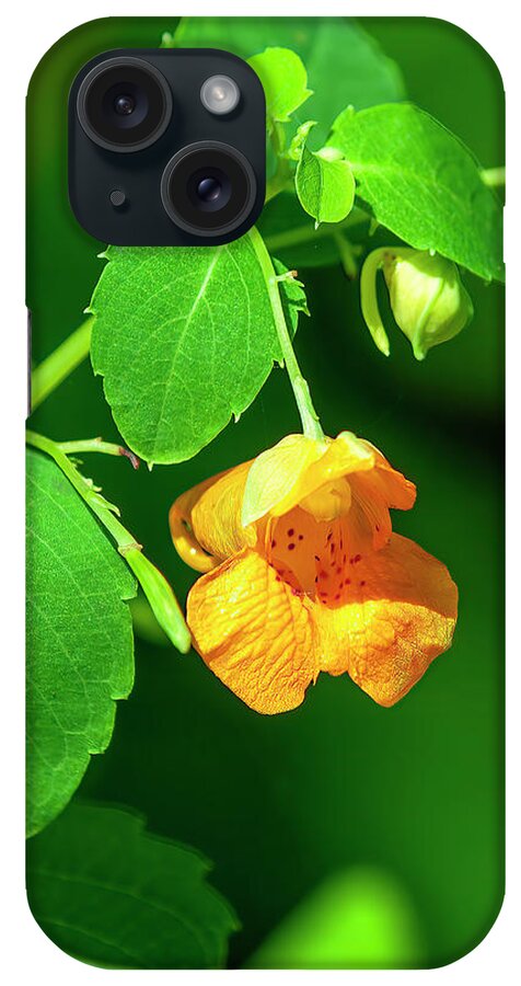 Balsam Family iPhone 15 Case featuring the photograph Orange Jewelweed DFL1221 by Gerry Gantt