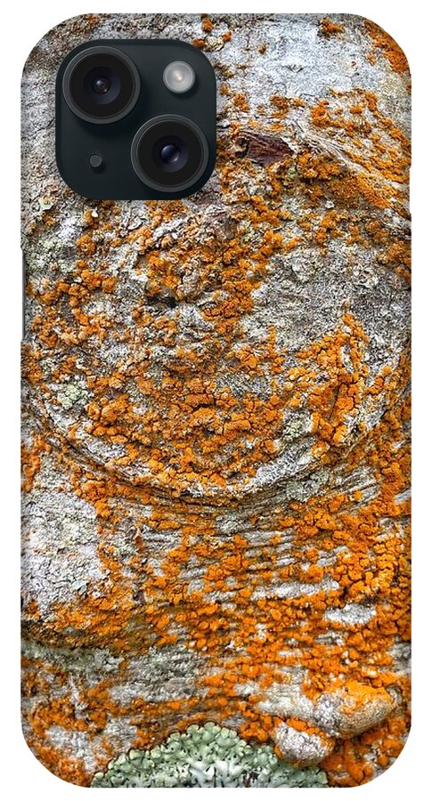 Macro iPhone Case featuring the photograph Orange Tree Bark Macro by Jerry Abbott