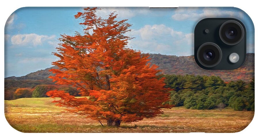 Canaan Valley iPhone Case featuring the photograph Orange Tree in Canaan Valley by Jaki Miller