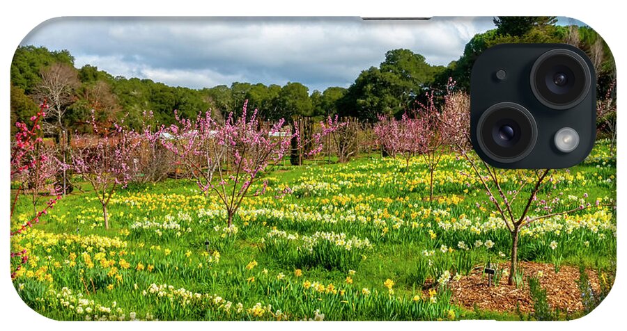 Orchard iPhone Case featuring the photograph Orchard Daffodils, 1 by Glenn Franco Simmons