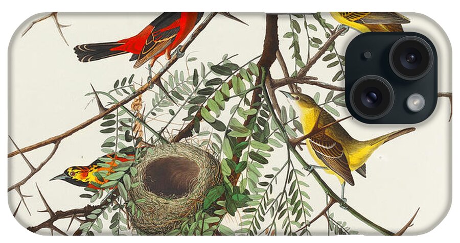 Orchard Oriole iPhone Case featuring the mixed media Orchard Oriole. John James Audubon by World Art Collective