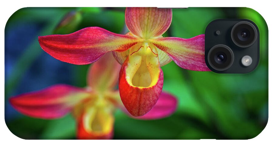 Flowers iPhone Case featuring the photograph Orchid by Doug Wittrock