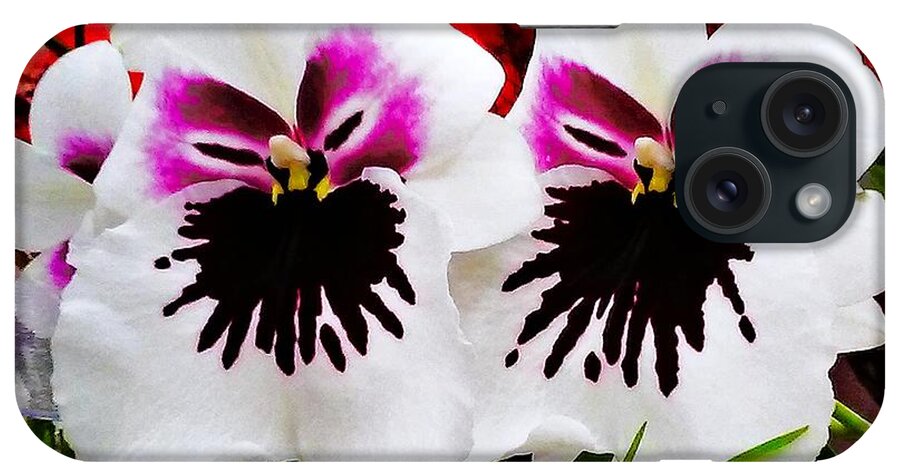 Orchids iPhone Case featuring the photograph Orchid Faces by Andrew Lawrence