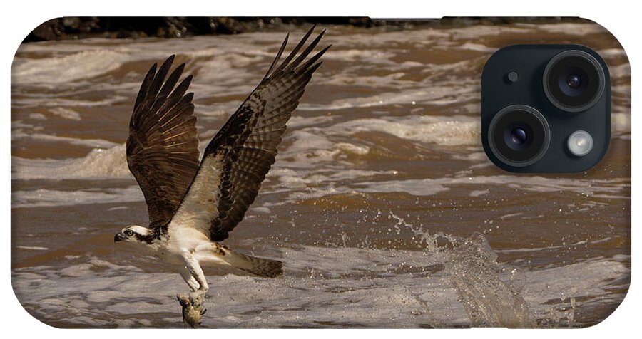 Osprey iPhone Case featuring the photograph Catch of the Day by Doug McPherson