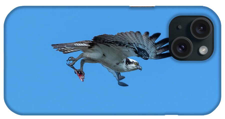 Osprey Flying With Fish iPhone Case featuring the photograph Osprey Flying With Fish by Todd Henson
