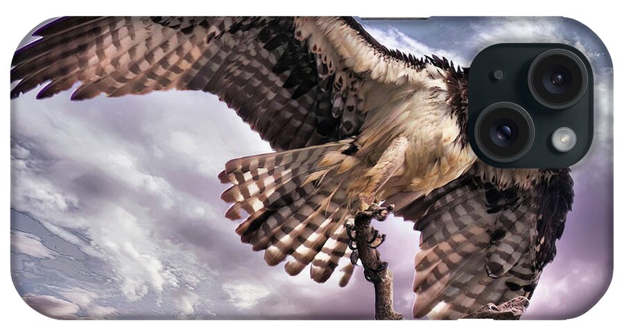 Osprey iPhone Case featuring the photograph Osprey Tree by Buddy Scott