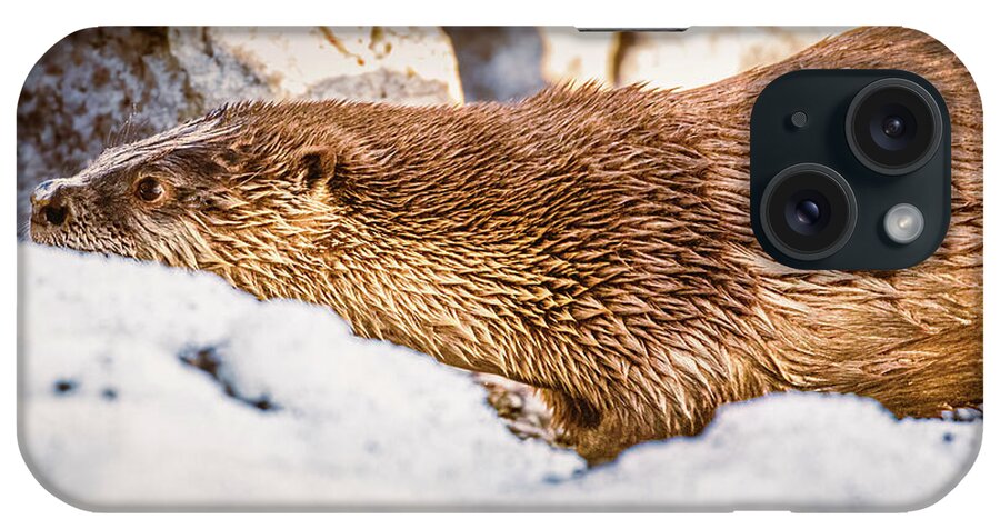 Lake iPhone Case featuring the photograph Otter Slide by Mike Lee