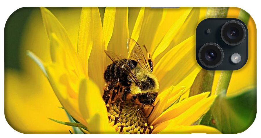 Bee iPhone 15 Case featuring the photograph Our Best Friend by Mary Walchuck