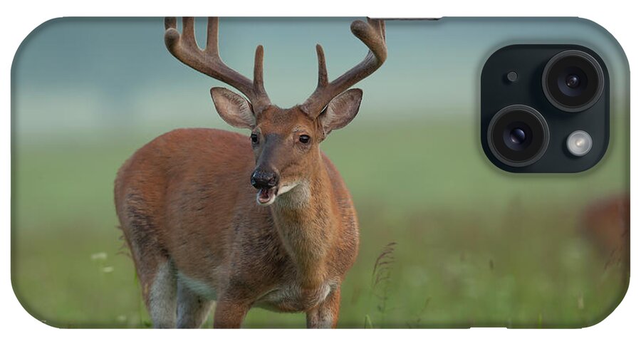 Wildlife iPhone Case featuring the photograph Outstanding In His Field by Doug McPherson
