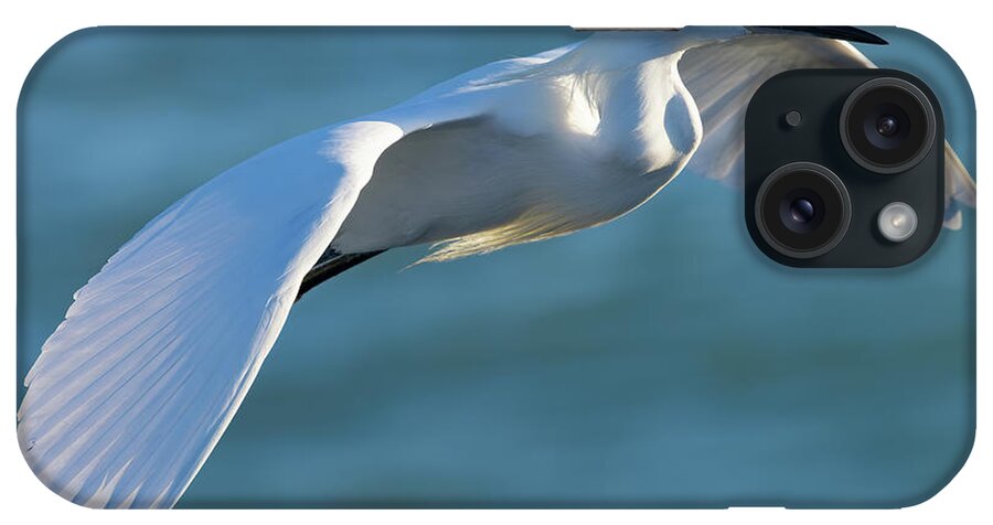 Snowy Egret iPhone Case featuring the photograph Outstretched Glide by RD Allen