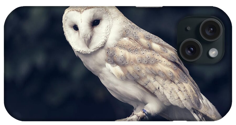 Owl iPhone Case featuring the photograph Owl sitting on a glove by Andrew Lalchan