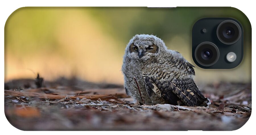 Owl iPhone Case featuring the photograph Owlet on the ground - Rancho San Antonio, Cupertino by Amazing Action Photo Video