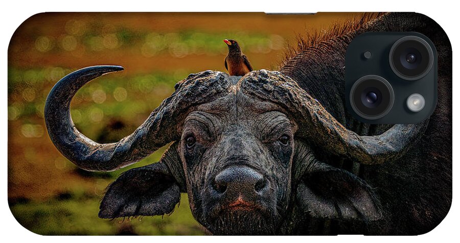 Cape Buffalo iPhone Case featuring the photograph Ox Pecker by Darcy Dietrich