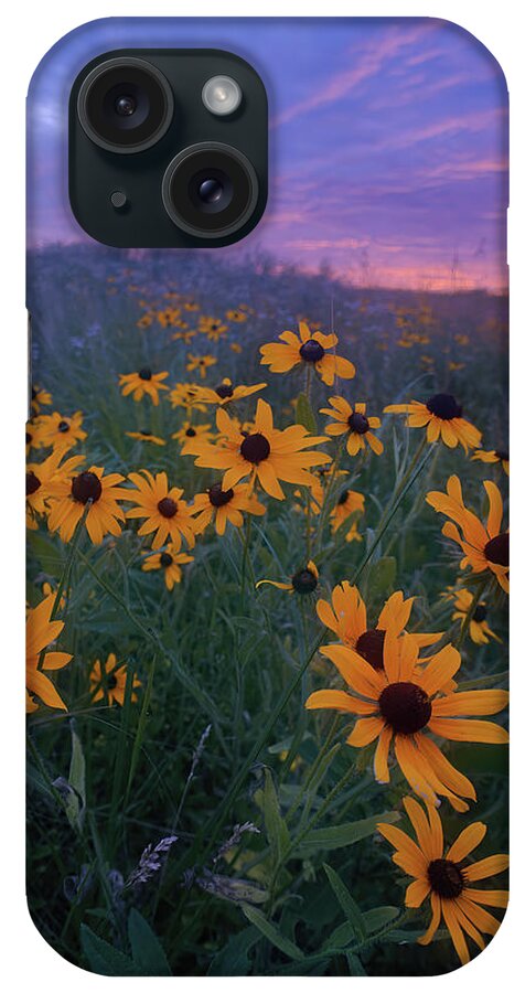 Conservation Area iPhone Case featuring the photograph Paintbrush Prairie III by Robert Charity