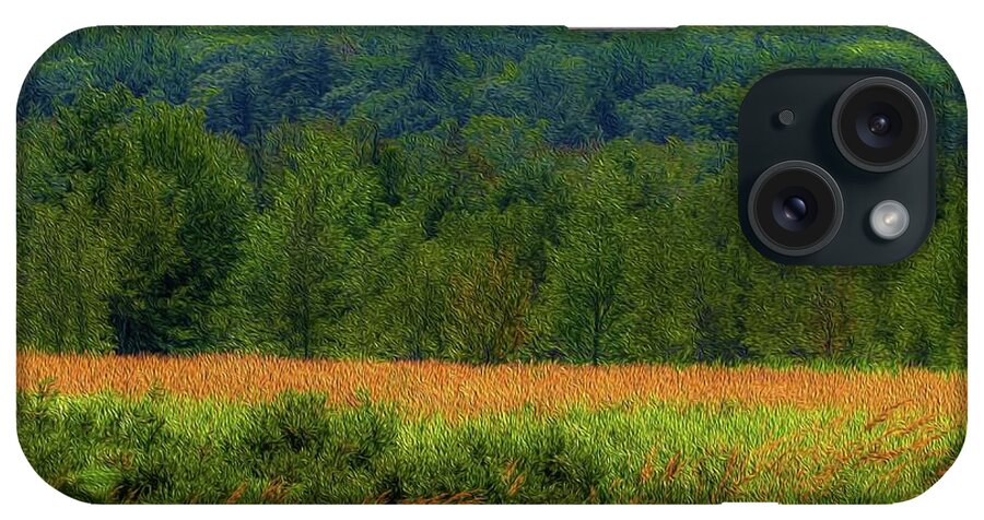 Acadia National Park iPhone Case featuring the digital art Painted Meadow by Patti Powers