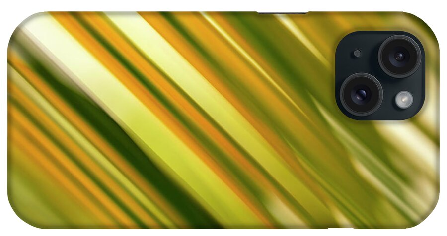 Palm Frond iPhone Case featuring the photograph Palm Frond Motion Blur by Christopher Johnson
