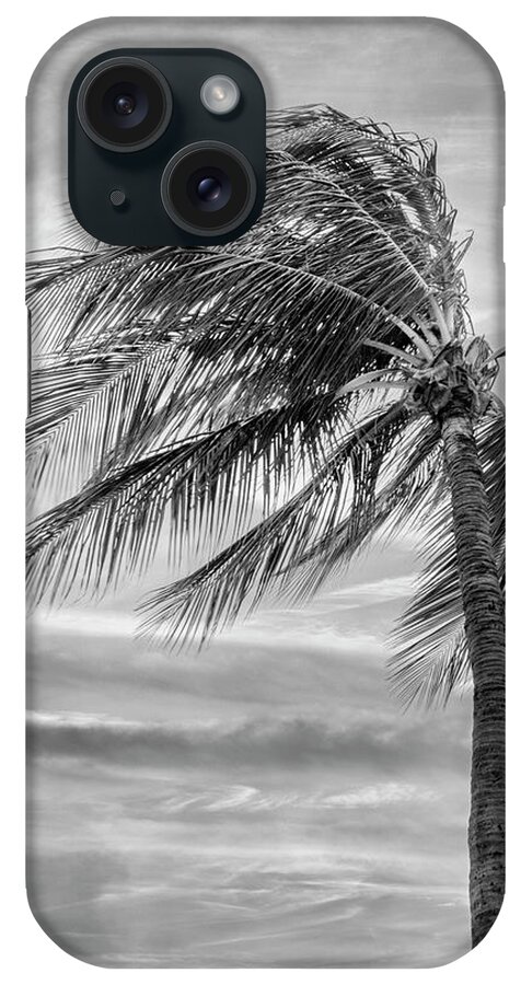 Tree iPhone Case featuring the photograph Palm In The Wind BW by Bill and Linda Tiepelman
