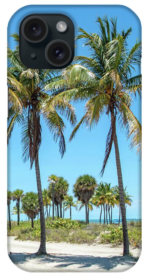 Palm iPhone Case featuring the photograph Palm Trees at Crandon Park Beach in Key Biscayne Florida by Beachtown Views