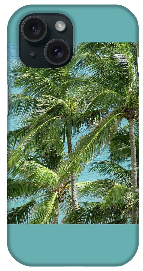 Palm iPhone Case featuring the photograph Palm Trees by the Ocean by Corinne Carroll