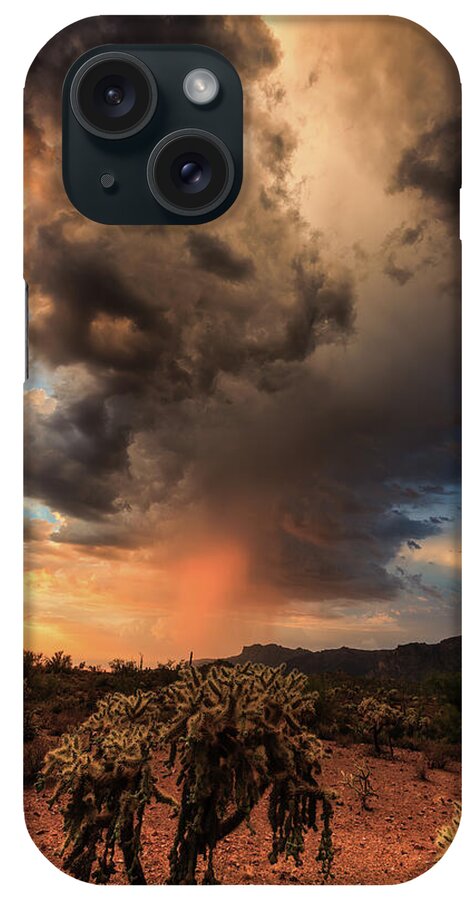 American Southwest iPhone Case featuring the photograph Parched by Rick Furmanek