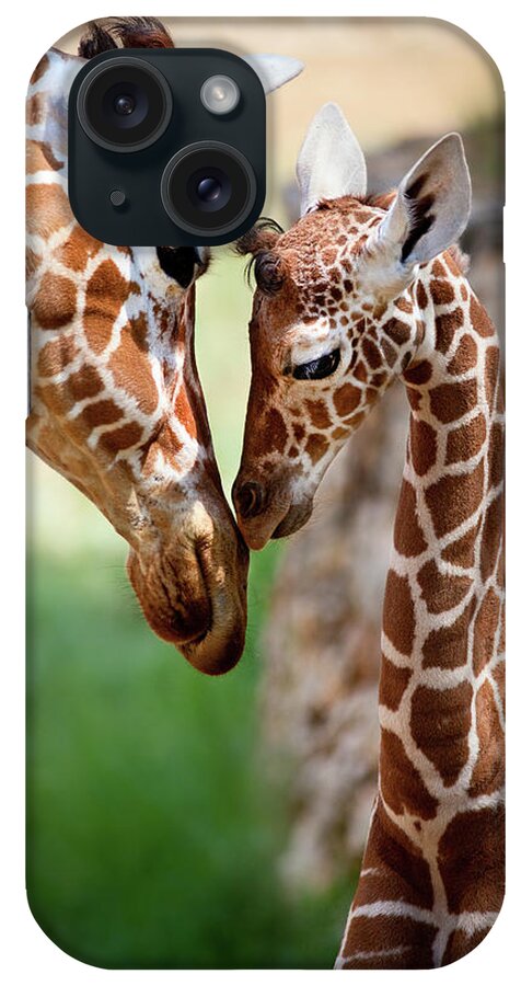 Giraffe iPhone Case featuring the photograph Parent-Child Relationship by Yuri Peress