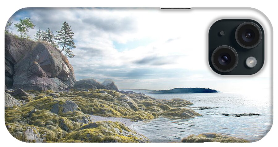 Partridge Island iPhone Case featuring the photograph Partridge Island Beach by Alan Norsworthy