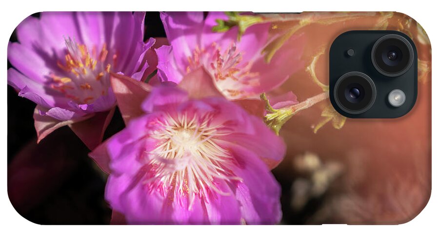  iPhone Case featuring the photograph Pasque Flowers by Laura Terriere