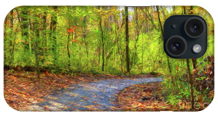 Pathway To Autumn iPhone Case featuring the photograph Pathway To Autumn # 2 by Mel Steinhauer