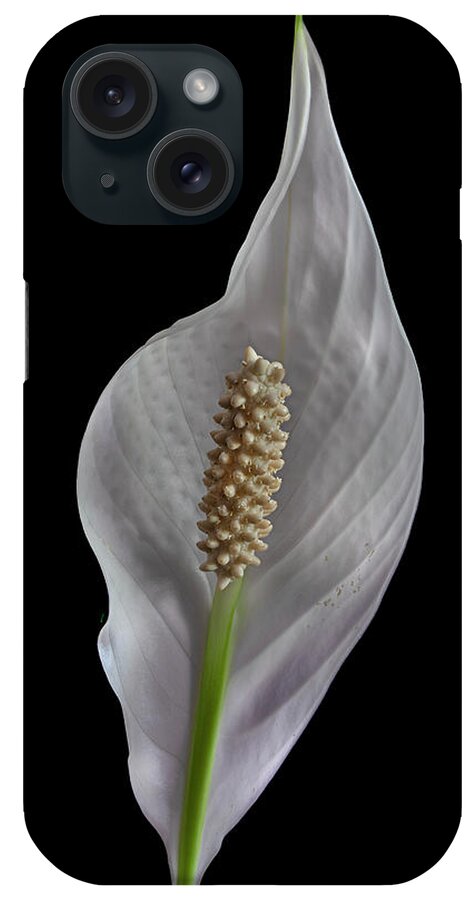 Peace Lily iPhone Case featuring the photograph Peace Lily 2 by Endre Balogh