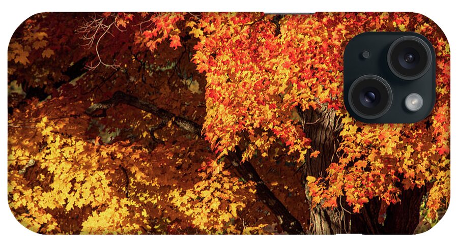 Autumn iPhone Case featuring the photograph Peak Foliage Central MA by Michael Saunders