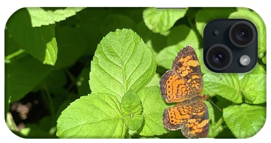 Butterfly iPhone Case featuring the photograph Pearl Crescent Butterfly by Catherine Wilson