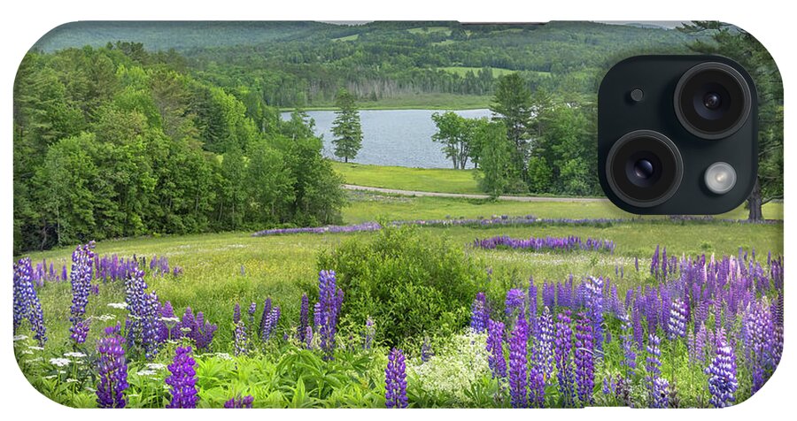 Pearl iPhone Case featuring the photograph Pearl Lake Lupine by White Mountain Images