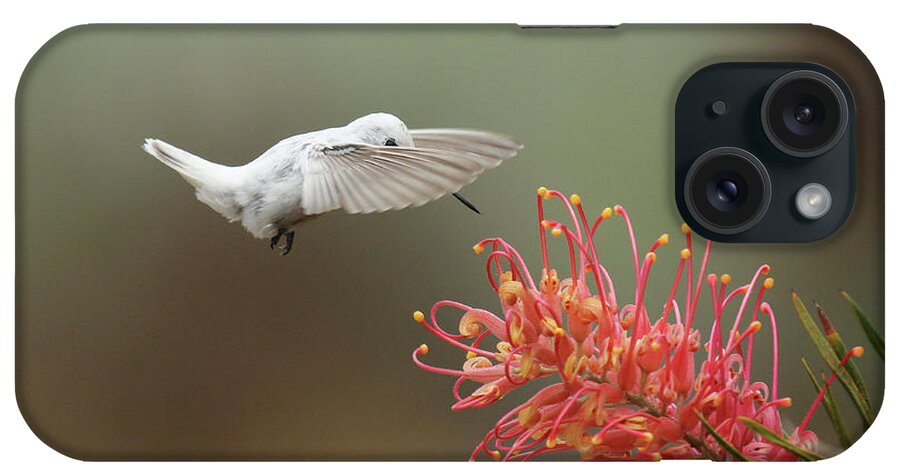Nature iPhone Case featuring the photograph Peek A Boo by Erick Castellon