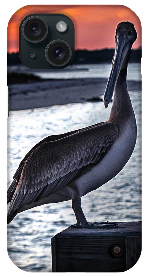 Pelican iPhone Case featuring the photograph Pelican at Sunset by Kevin Senter