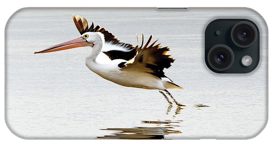 Three Pelicans iPhone Case featuring the photograph Pelican Landing Triptych_2 by Az Jackson