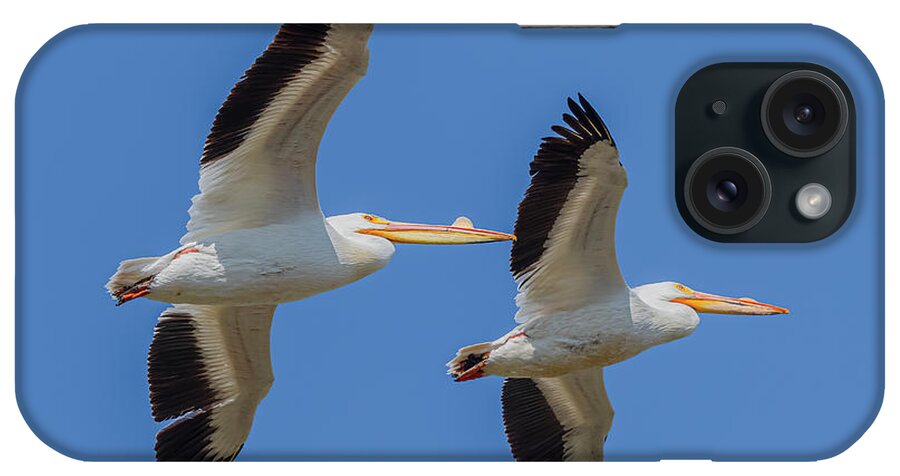 Pelican Pair Flying iPhone Case featuring the photograph Pelican Pair Flying by Morris Finkelstein