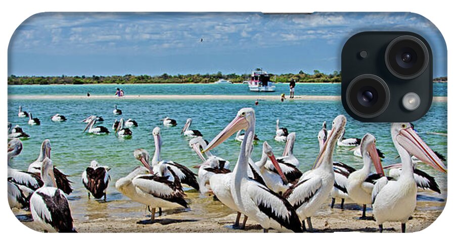 Australian Pelicans iPhone Case featuring the photograph Pelican Party by Az Jackson